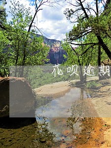 花呗逾期三年搞笑视频 花呗逾期三年搞笑视频
