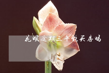 花呗逾期三年能买房吗 花呗逾期三年能买房吗