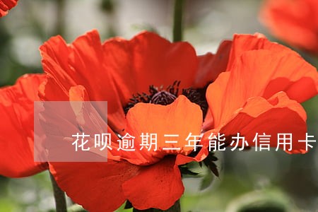 花呗逾期三年能办信用卡