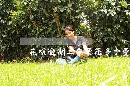 花呗逾期三年要还多少费用