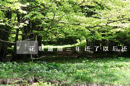 花呗逾期三年还了以后还能用吗 花呗逾期三年还了以后还能用吗
