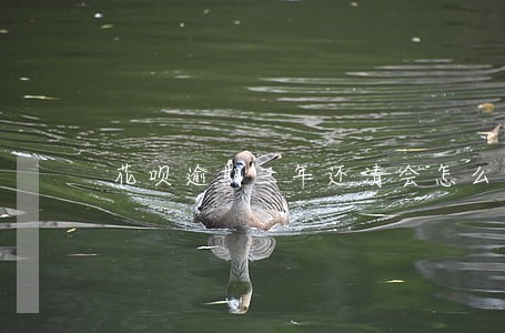 花呗逾期三年还清会怎么样 花呗逾期三年还清会怎么样