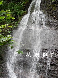 花呗逾期三方催收 花呗逾期三方催收