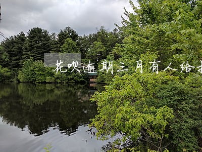 花呗逾期三月有人给打电话
