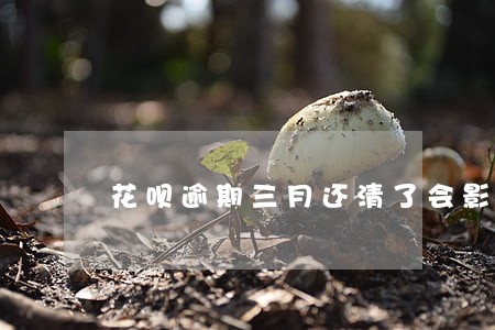 花呗逾期三月还清了会影响征信吗 花呗逾期三月还清了会影响征信吗