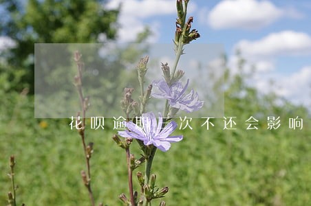 花呗逾期三次不还会影响什么 花呗逾期三次不还会影响什么