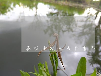 花呗逾期三次严重不 花呗逾期三次严重不