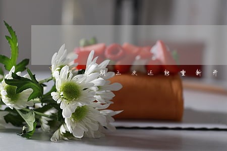 花呗逾期三次还能重新开吗 花呗逾期三次还能重新开吗