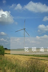 花呗逾期三百块三年了怎么办 花呗逾期三百块三年了怎么办