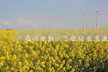 花呗逾期上了征信会有通知吗 花呗逾期上了征信会有通知吗