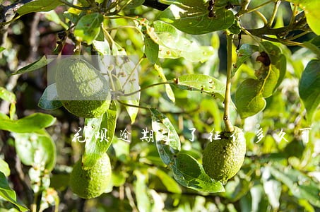 花呗逾期上了征信多久可以消除 花呗逾期上了征信多久可以消除