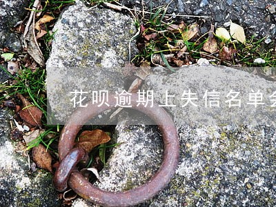 花呗逾期上失信名单会怎么样 花呗逾期上失信名单会怎么样