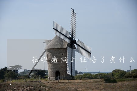 花呗逾期上征信了有什么后果 花呗逾期上征信了有什么后果