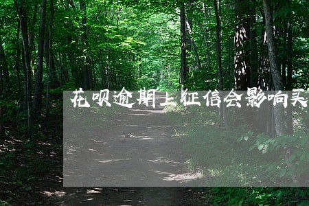 花呗逾期上征信会影响买房吗 花呗逾期上征信会影响买房吗
