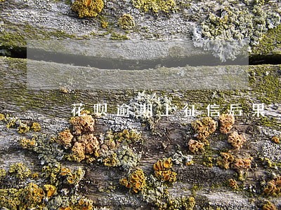 花呗逾期上征信后果