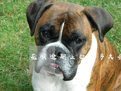 花呗逾期上征信多久会被关闭 花呗逾期上征信多久会被关闭