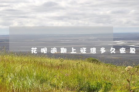 花呗逾期上征信多久恢复征信 花呗逾期上征信多久恢复征信