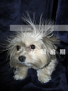 花呗逾期上征信影响贷款买房 花呗逾期上征信影响贷款买房