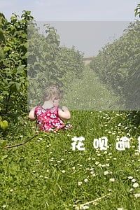 花呗逾期上征信怎么恢复