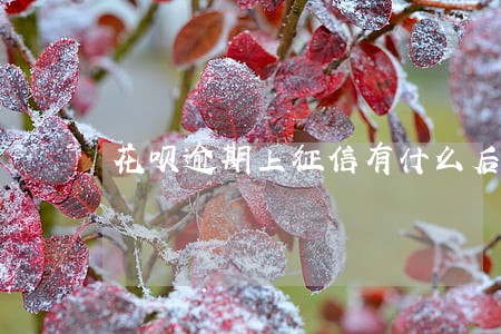 花呗逾期上征信有什么后果 花呗逾期上征信有什么后果