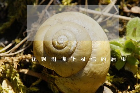 花呗逾期上征信的后果 花呗逾期上征信的后果