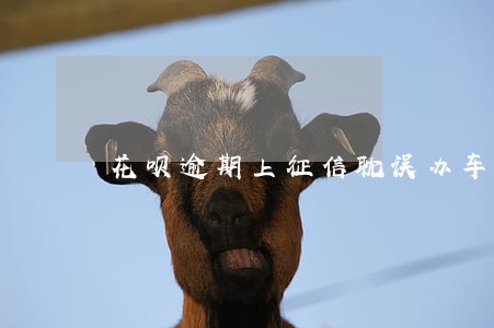 花呗逾期上征信耽误办车贷吗