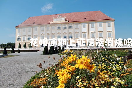 花呗逾期上征信能消除吗 花呗逾期上征信能消除吗