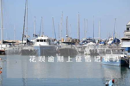 花呗逾期上征信记录吗 花呗逾期上征信记录吗