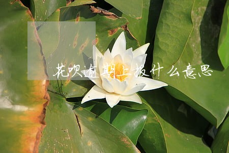 花呗逾期上报什么意思 花呗逾期上报什么意思