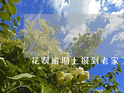 花呗逾期上报到老家了怎么办 花呗逾期上报到老家了怎么办