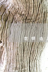 花呗逾期上海打电话催款 花呗逾期上海打电话催款