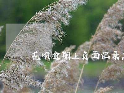 花呗逾期上负面记录怎么消除 花呗逾期上负面记录怎么消除
