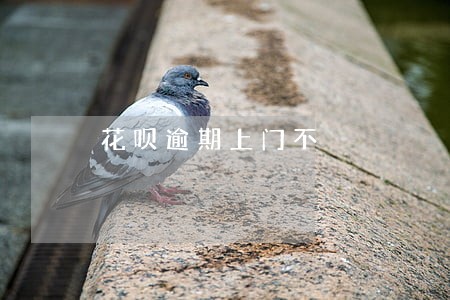 花呗逾期上门不 花呗逾期上门不