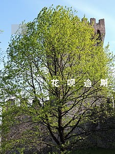花呗逾期上门了