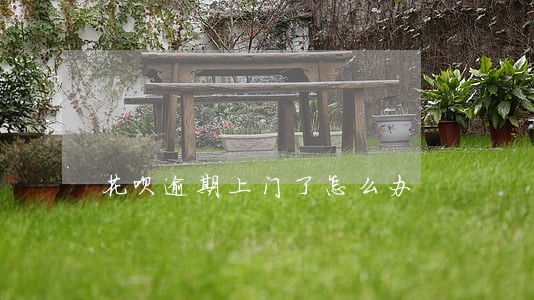 花呗逾期上门了怎么办 花呗逾期上门了怎么办