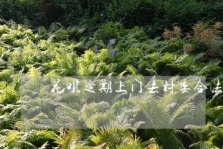 花呗逾期上门去村委合法吗 花呗逾期上门去村委合法吗