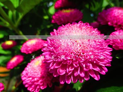花呗逾期上门审核 花呗逾期上门审核