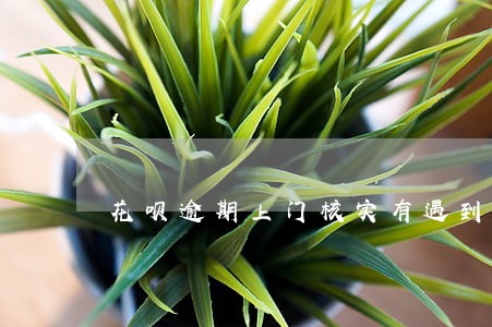 花呗逾期上门核实有遇到过吗 花呗逾期上门核实有遇到过吗