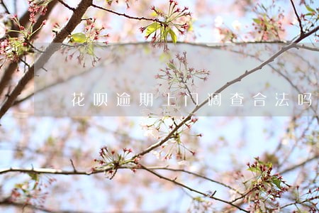 花呗逾期上门调查合法吗