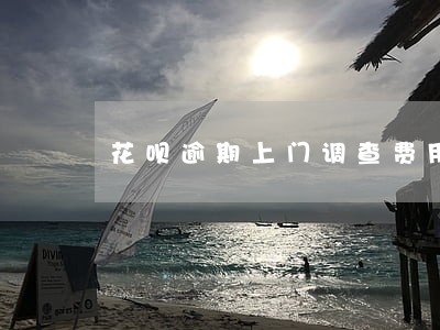 花呗逾期上门调查费用也要我给 花呗逾期上门调查费用也要我给
