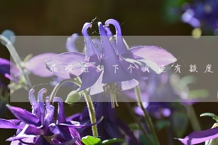 花呗逾期下个月还有额度吗