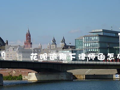 花呗逾期下律师函怎么办 花呗逾期下律师函怎么办