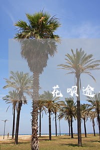 花呗逾期不到100后果 花呗逾期不到100后果