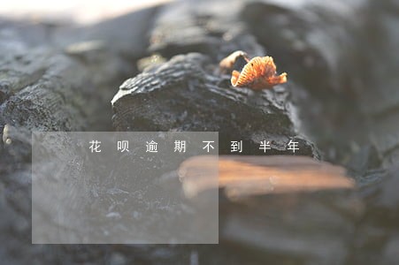 花呗逾期不到半年 花呗逾期不到半年