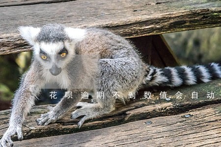 花呗逾期不到数值会自动扣款吗