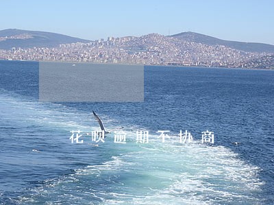 花呗逾期不协商 花呗逾期不协商