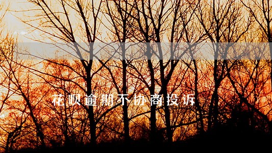 花呗逾期不协商投诉 花呗逾期不协商投诉