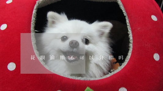 花呗逾期不可以分期吗