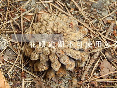 花呗逾期不可使用多久恢复