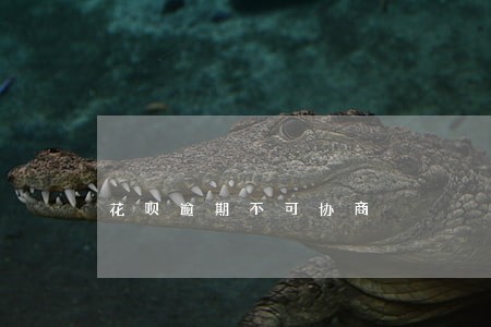 花呗逾期不可协商 花呗逾期不可协商